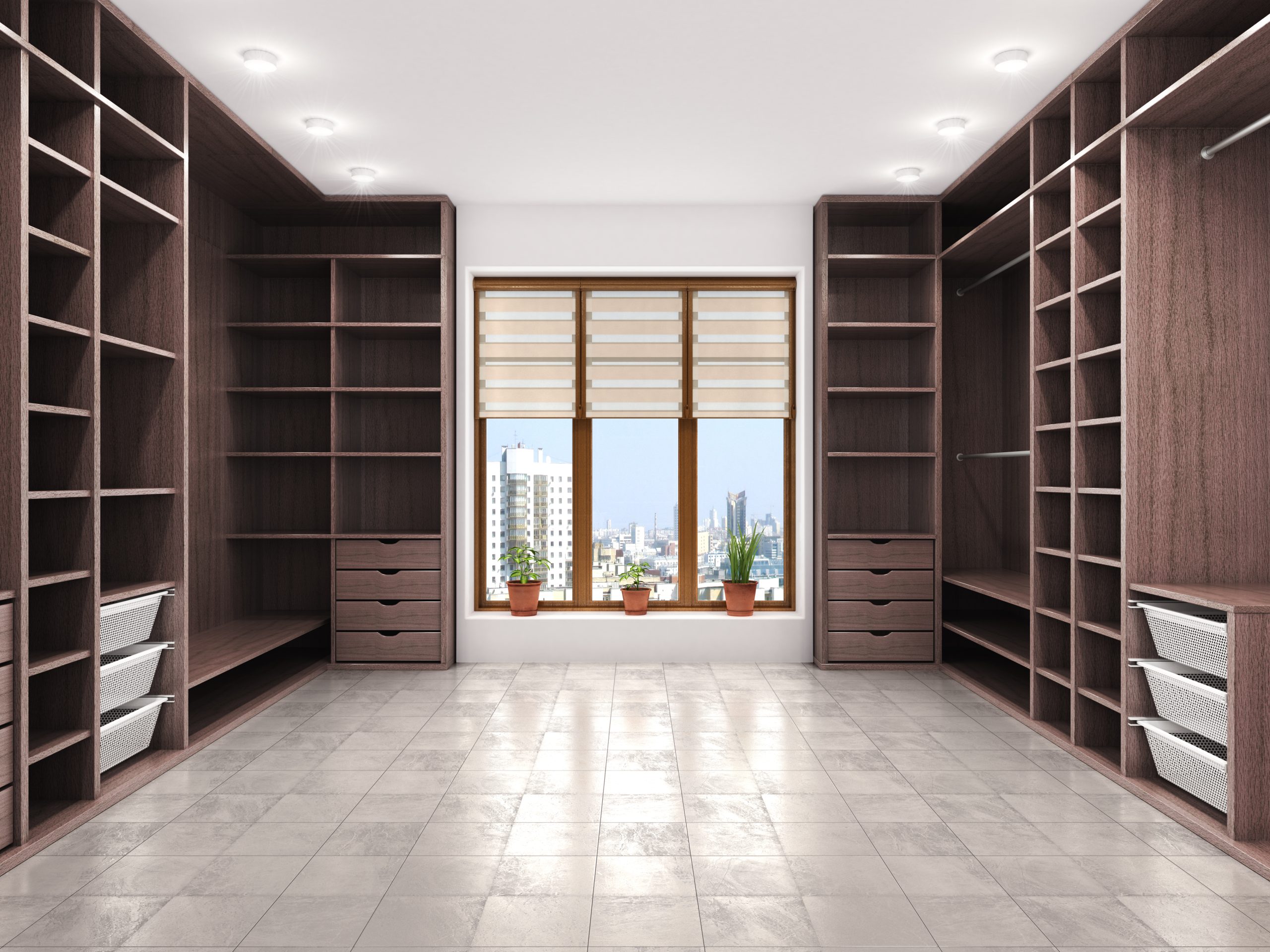 Organized reach-in closet